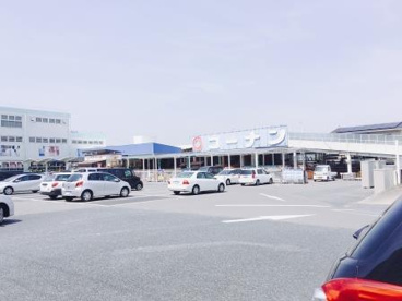 ホームセンターコーナン 金岡蔵前店の画像5