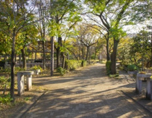 エバーグリーンガーデン