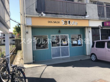 ドッグサロン・ソーキュートの画像1