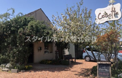 手づくりケーキの店 Cocotteの画像1