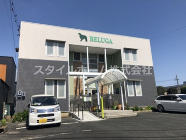 ドッグサロン・ベルーガの画像1