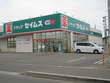 ドラッグセイムスの画像1