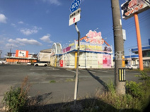 ペットショップ ワンラブ 豊橋豊川線通り店