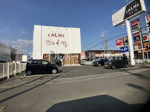le-pla Calme