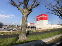 DCMカーマ 豊川正岡店