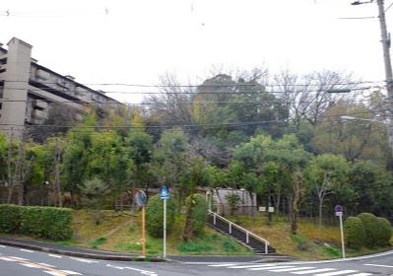 新芦屋中央公園の画像1