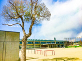 鈴鹿市立旭が丘小学校