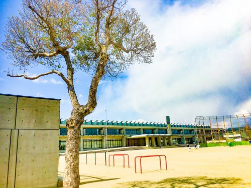 鈴鹿市立旭が丘小学校の画像