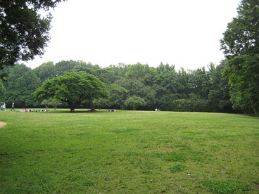  東高根森林公園の画像1