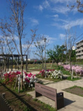 辻堂西海岸2丁目公園