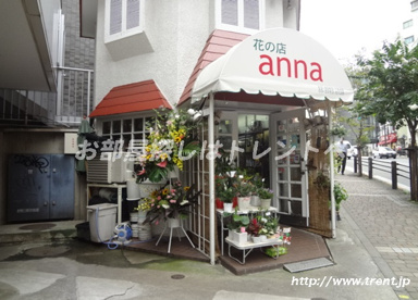 トレント周辺の地域情報 トレント