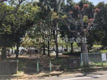中郷中公園