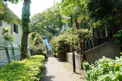 谷戸前川緑道の画像2
