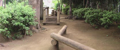 中央緑地公園の画像1