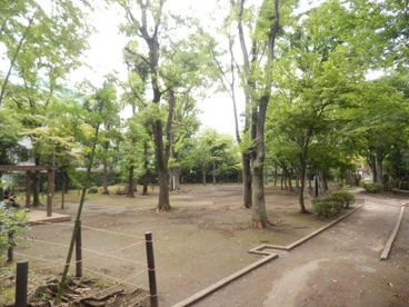 中央緑地公園の画像2