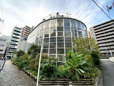 渋谷区ふれあい植物センターの画像1