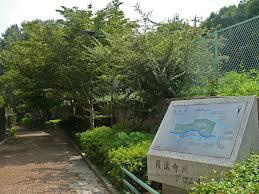 羅漢寺川緑道の画像1