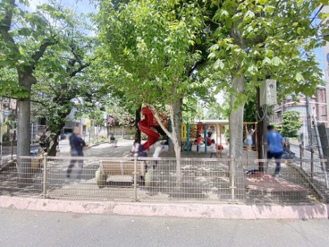 渋谷区立千原児童遊園地の画像1
