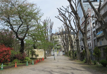 公園 神宮通公園