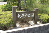 公園 大井戸公園