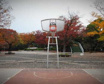 代々木公園バスケットコート情報ページ 目黒 渋谷の土地 一戸建て情報はウェストパーク