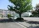 さいたま市立大久保東小学校の画像
