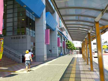 まるひろ東飯能店の画像2