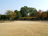 公園 長洲公園