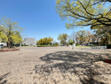 公園 橘公園