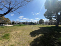 公園 今福公園