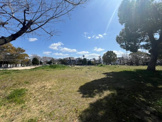公園 今福公園