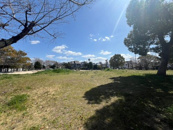 今福公園