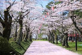 千秋公園の画像2