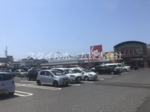 スギドラッグ 菰口店