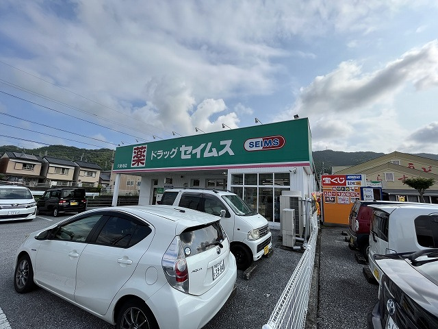 の画像