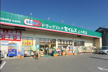 ドラッグセイムスの画像1