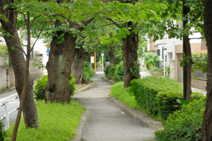 呑川柿の木坂支流緑道の画像1