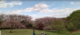 東本郷公園