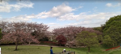 東本郷公園の画像1