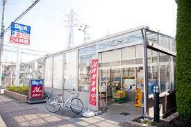ビッグ・エー 田無向台店の画像1