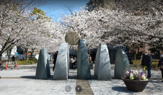中央区立桜川公園