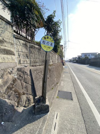 松の本の画像1