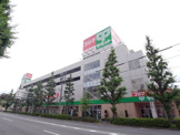 サミットストア 善福寺店