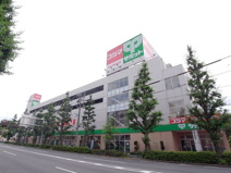 サミットストア 善福寺店