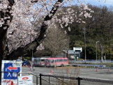 こどもの国(神奈川県)