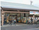 新鮮激安市場! 桂店
