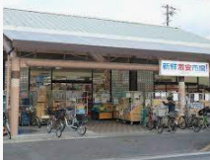 新鮮激安市場! 桂店