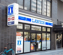 ローソン 東新宿明治通店