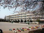 柏市立酒井根小学校の画像1