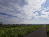 大和川西運動広場